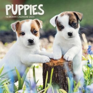 Puppies Mini Calendar 2023