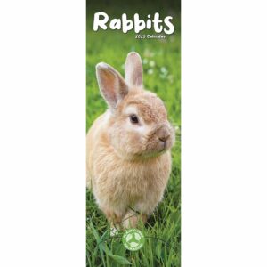 Rabbits Slim Calendar 2023