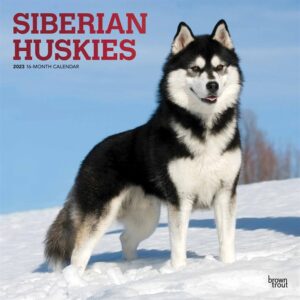 Siberian Huskies Calendar 2023