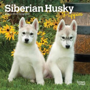 Siberian Husky Puppies Mini Calendar 2023