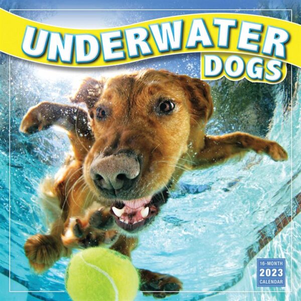 Underwater Dogs Calendar 2023
