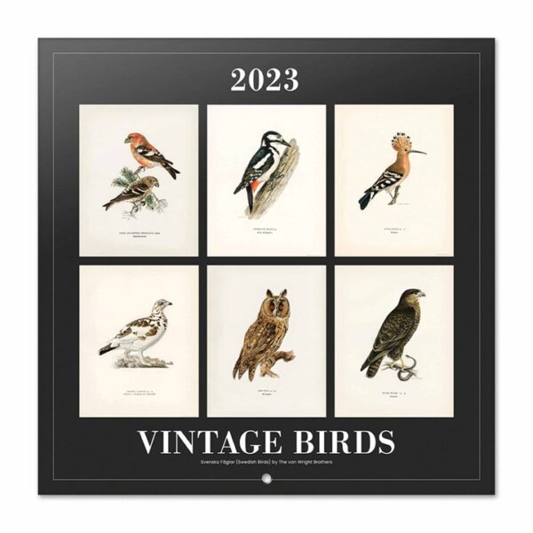 Vintage Birds Official Calendar 2023