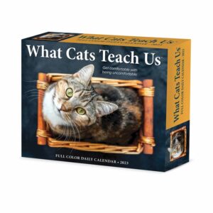 What Cats Teach Us Desk Calendar 2023