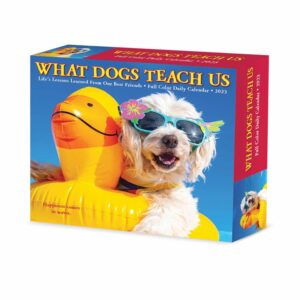 What Dogs Teach Us Desk Calendar 2023