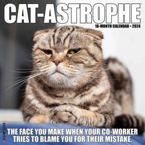 Cat-atstrophe Calendar 2024