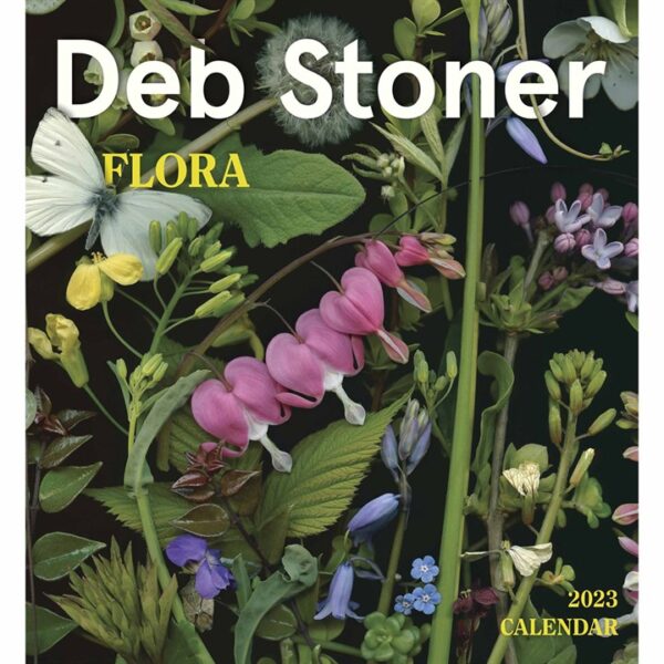Deb Stoner