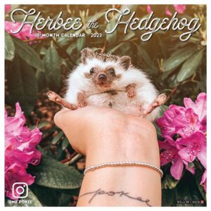Herbee The Hedgehog Calendar 2023
