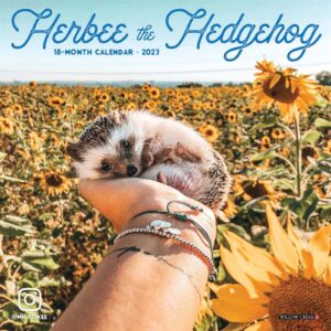 Herbee The Hedgehog Mini Calendar 2023