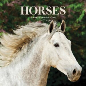 Horses Calendar 2023