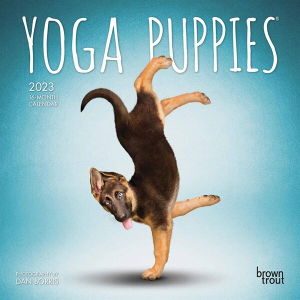 Yoga Puppies Mini Calendar 2023