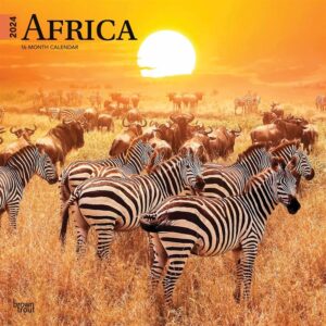 Africa Calendar 2024