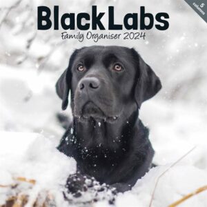 Black Labs Family Planner 2024