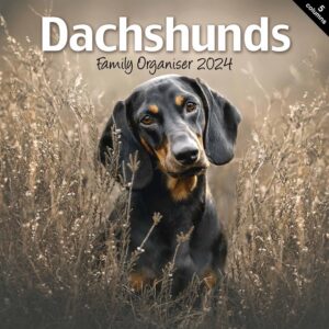 Dachshunds Family Planner 2024