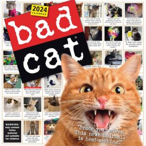 365 Days Bad Cat Calendar 2024