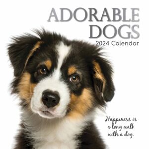 Adorable Dogs Calendar 2024