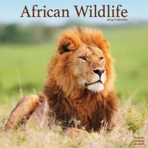 African Wildlife Calendar 2024
