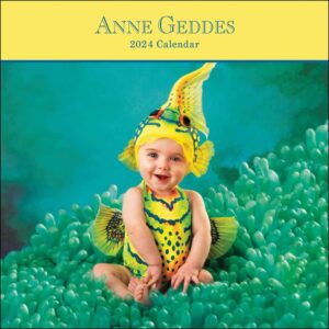 Anne Geddes Calendar 2024