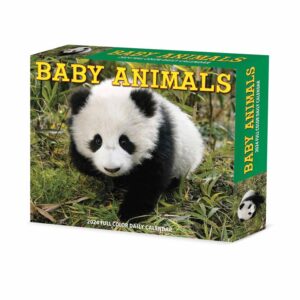 Baby Animals Desk Calendar 2024