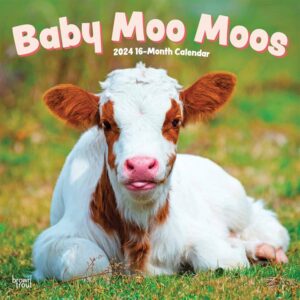Baby Moo Moos Calendar 2024
