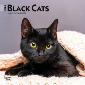 Black Cats Mini Calendar 2024