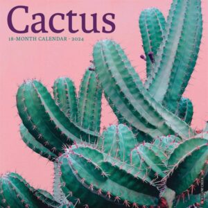 Cactus Calendar 2024