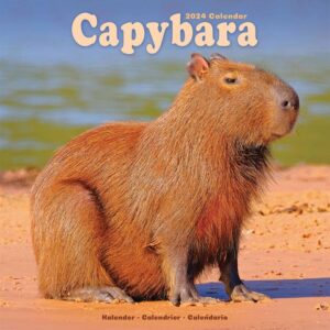 Capybara Calendar 2024