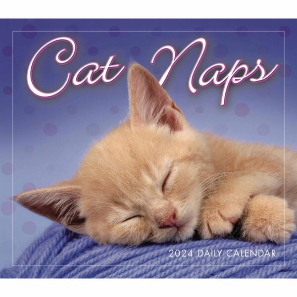Cat Naps Desk Calendar 2024