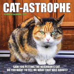 Cat-astrophe Mini Calendar 2024