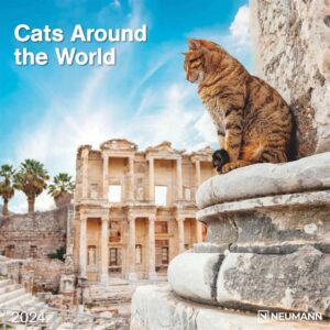 Cats Around The World Calendar 2024