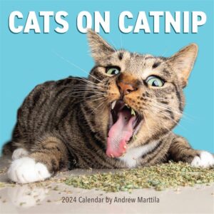 Cats On Catnip Calendar 2024