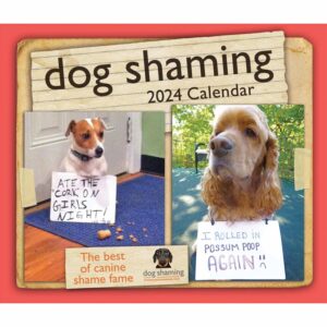 Dog Shaming Desk Calendar 2024