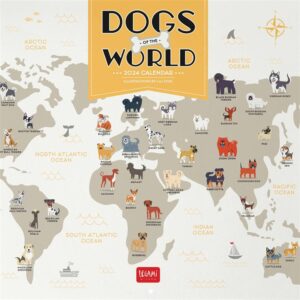 Dogs Of The World Calendar 2024