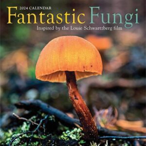 Fantastic Fungi Calendar 2024