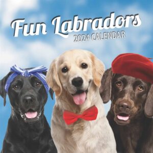 Fun Labradors Calendar 2024