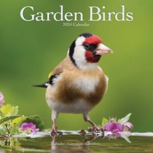 Garden Birds Calendar 2024