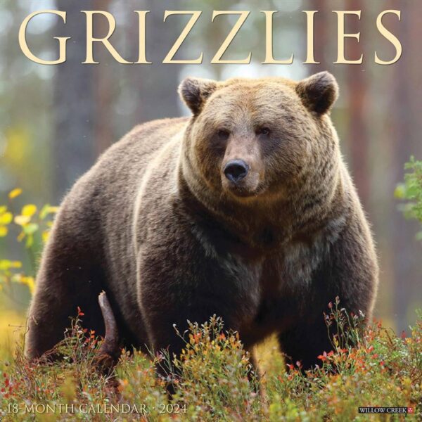 Grizzlies Calendar 2024