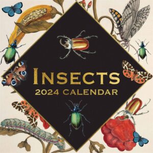 Insects Calendar 2024
