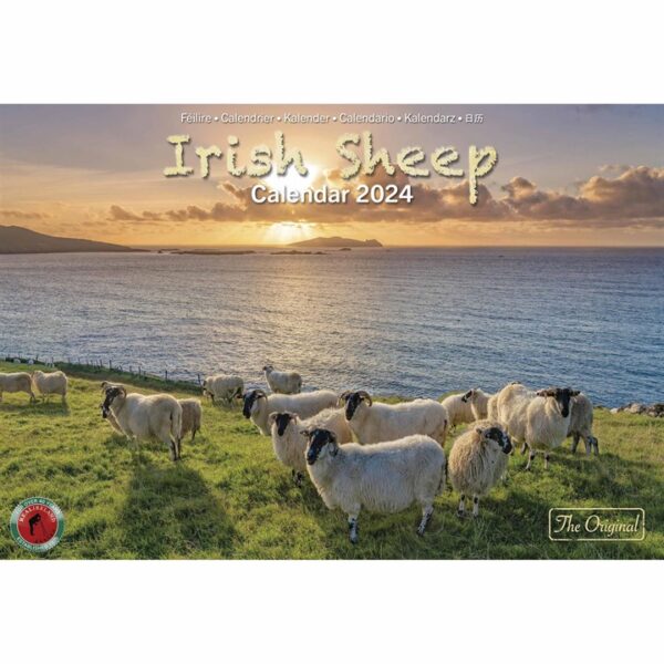 Irish Sheep A4 Calendar 2024