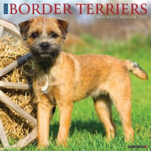 Just Border Terriers Calendar 2024