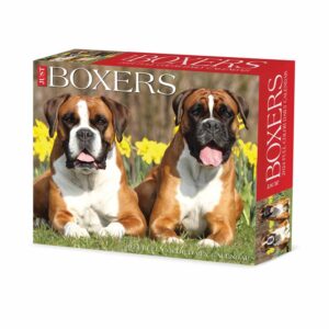 Just Boxers Desk Calendar 2024
