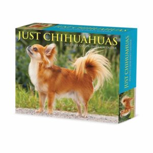 Just Chihuahuas Desk Calendar 2024