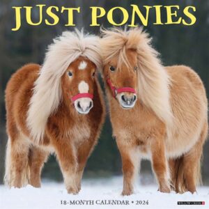 Just Ponies Calendar 2024