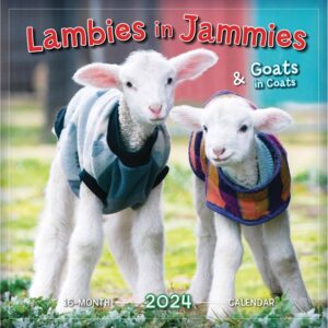 Lambies In Jammies Calendar 2024