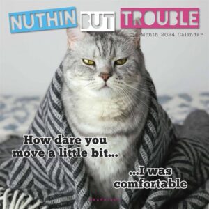 Nuthin But Trouble Calendar 2024