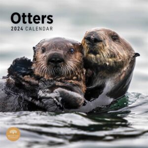 Otters Calendar 2024