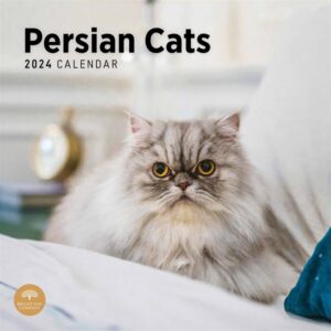 Persian Cats Calendar 2024