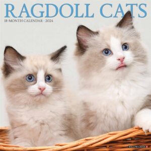 Ragdoll Cats Calendar 2024