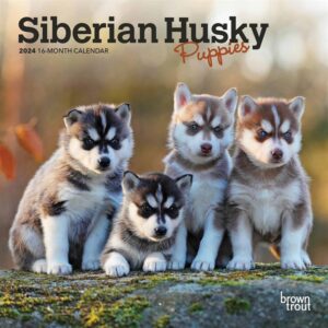 Siberian Husky Puppies Mini Calendar 2024