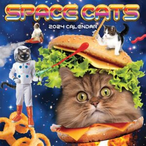 Space Cats Calendar 2024