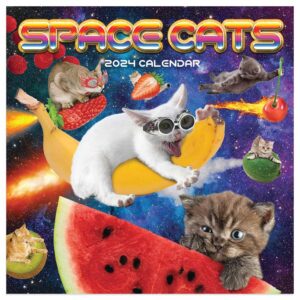 Space Cats Mini Calendar 2024